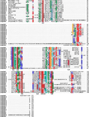 Identification of Odorant-Binding Proteins (OBPs) and Functional Analysis of Phase-Related OBPs in the Migratory Locust